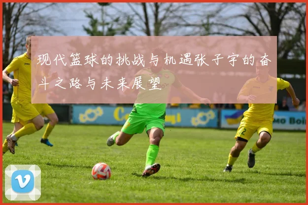 现代篮球的挑战与机遇张子宇的奋斗之路与未来展望